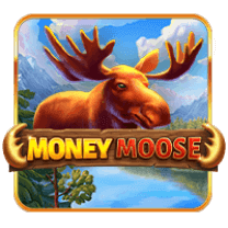 Money Mooses