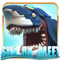 Shark Meet