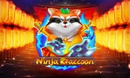 Ninja  Raccoon