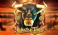 Running Toro