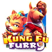 Kungu Furry