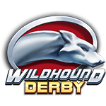 Wild Hound Derby