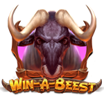 Win A Beest