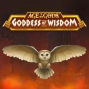 Age of The  Gods Goddessof Wisdom