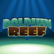 Dolphin Reef