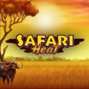 Safari Heat