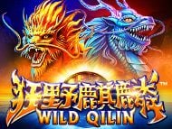 Wild  Qilin