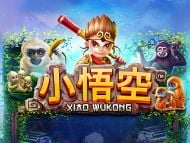 Xiao  Wukong