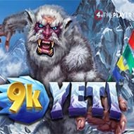 9 K Yeti