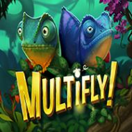 Multifly
