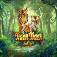 T IGER TIGER