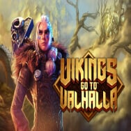 Vikings Goto Valhalla